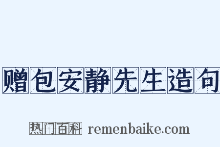 赠包安静先生造句是什么意思的图片